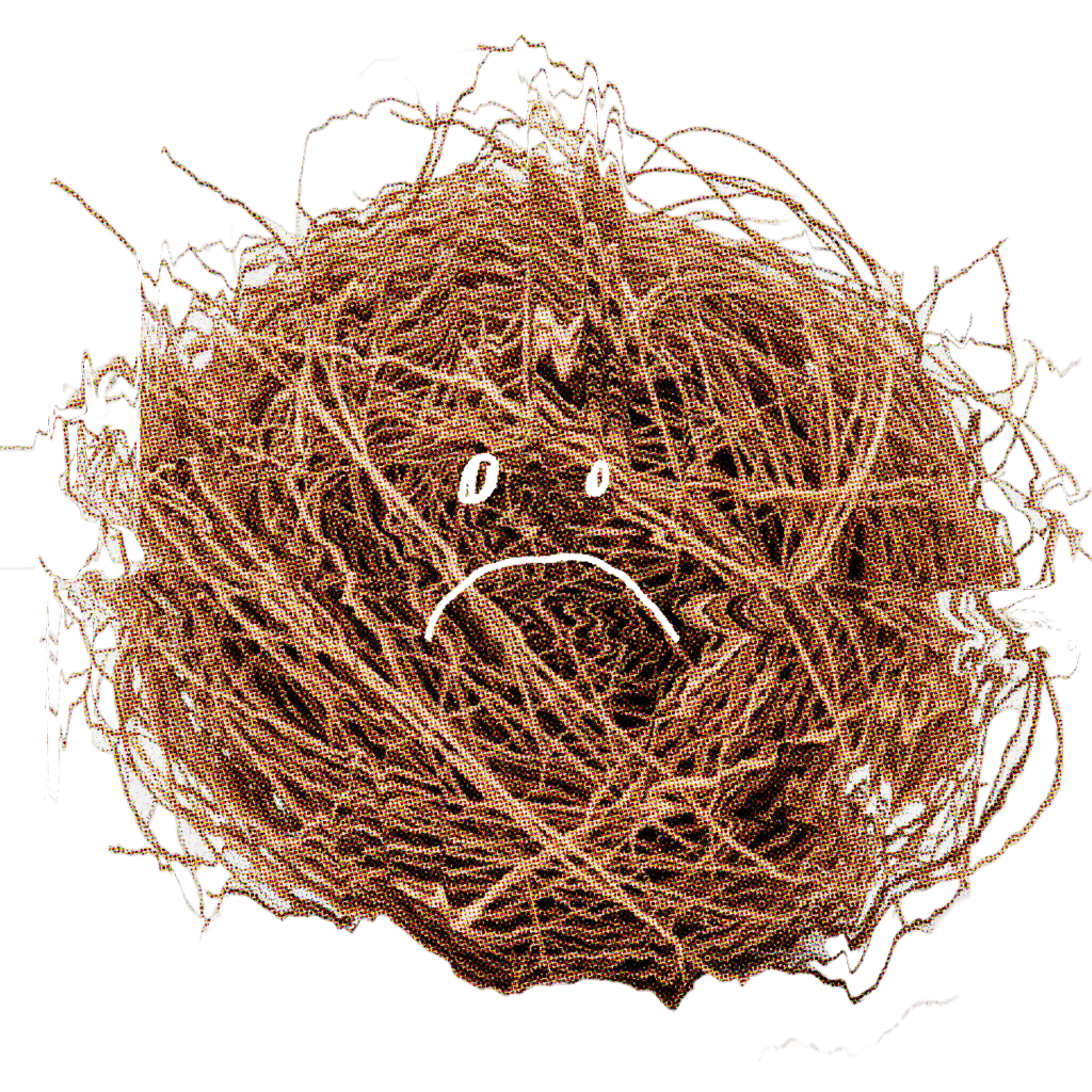 Корзина пуста