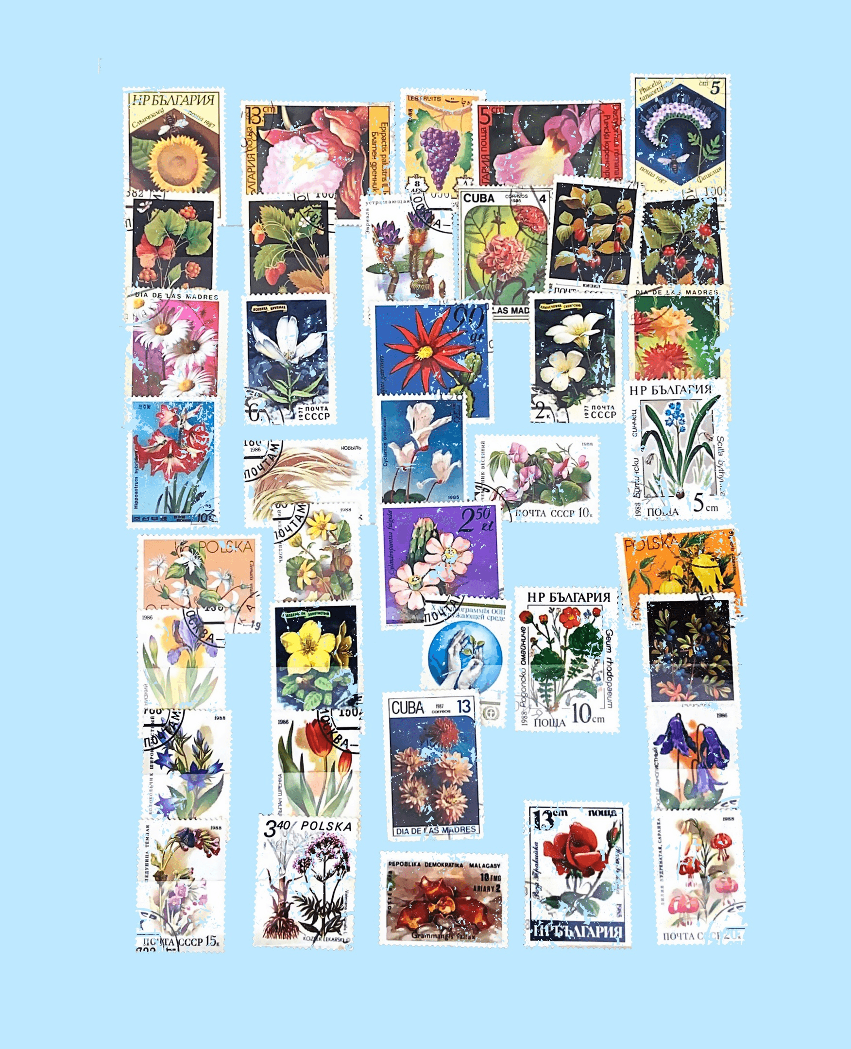 Открытие физического магазина в Омске